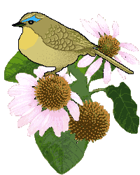 【转载】2011年5月2日 - 夜阑风铃的日志 - 网易博客