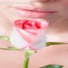 a rose is a rose