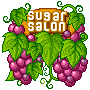 sugar salon