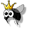 King fly