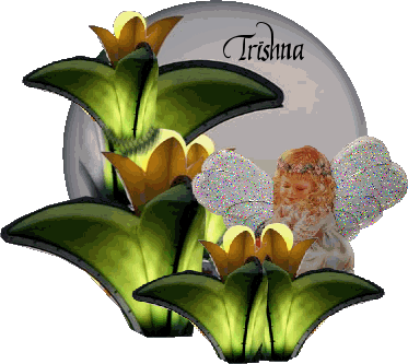 Trishna