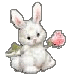 bunny rose