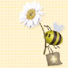 Bee wit flower