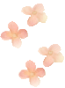 PINK LIL FLOWERS