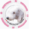 Bedlington Terrier Pink Poker Chip