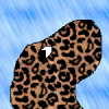 Leapard dog