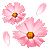 mini flowers