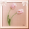 Floral Frame Pink Tulips