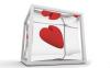 Heart in Glass Box
