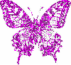 purplish sparkle butterfly