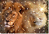 Lions merged sparkly 