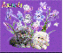 Cats with Orchids Tag - Amanda