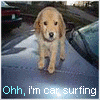 car surfing