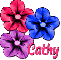 Cathy colored flowers