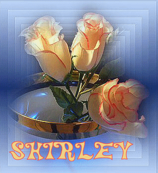 Shirley