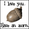 acorn!