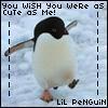 sexy lil penguin!! haha