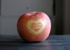 apple of my heart