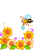 Bee & Flowers
