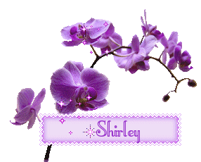Shirley