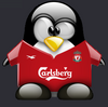 soccer penguin
