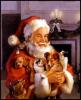 Santa with animals
