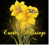yellow lily with butterfly