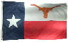 Texas Longhorns Flag