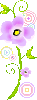 cute flower