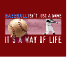 Baseball Its A Way Of Life