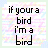 IF YOUR A BIRD IM A BIRD