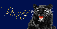 Panther (black) Tag- Bennie