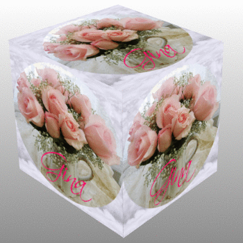 Pink Roses in Teapot in circle Cube- Gina