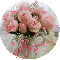 Pink Roses in Teapot in circle (with floating hearts)- Joyce