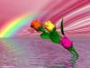 rainbow-rose