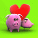 cute pig in love