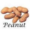 Peanuts and name Peanut