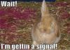 Signal!