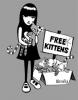 free k kittens
