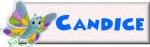 Butterfly Nameplate- Candice