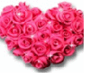 sparkling pink heart rose