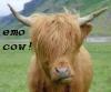 emo cow