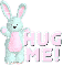 hug me bunny