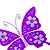 violet butterfly