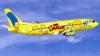 The  Simpsons plane