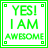 yes , i am awesome
