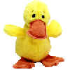 stuffed toy-duck