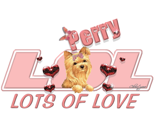 Perry with lots of love