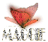 Diamond Butterfly Maggie