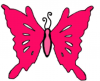 Black and Pink butterfly
